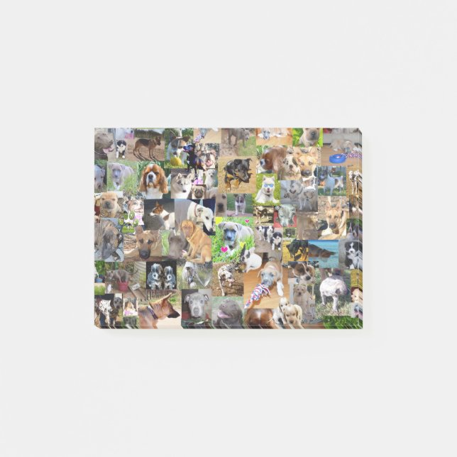 Hundfoto Collage, Post-it Klebezettel (Vorderseite)