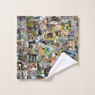 Hundfoto Collage, Waschlappen