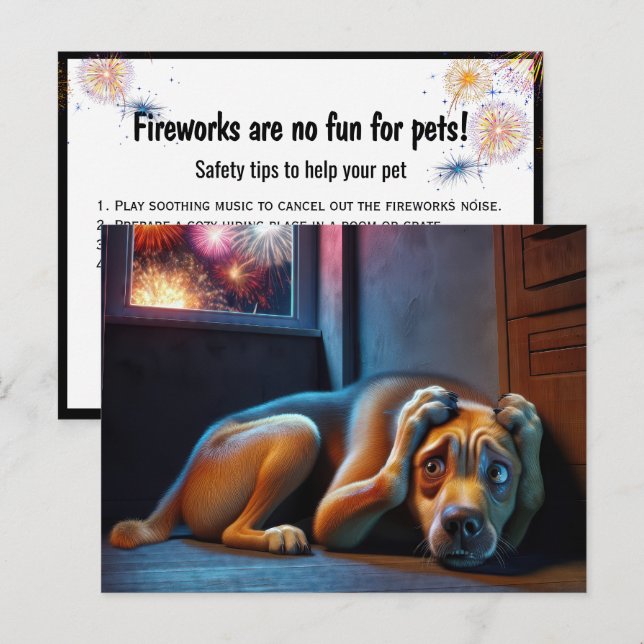 Hundshund-Hund-Watching-Feuerwerke Postkarte (Vorne/Hinten)