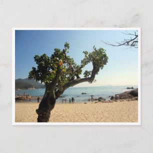 Hung-Shing-Yeh-Strand Baum Postkarte