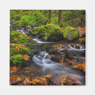 Hungerfallen   Columbia Gorge, Oregon Magnet