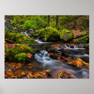 Hungerfallen   Columbia Gorge, Oregon Poster