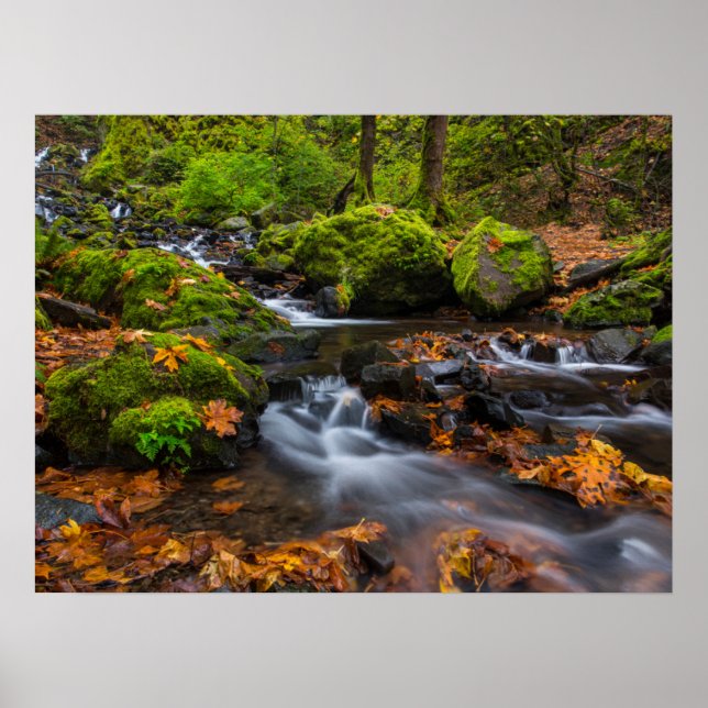 Hungerfallen | Columbia Gorge, Oregon Poster (Vorne)
