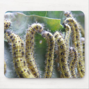 Hungerfestungen Weißes Raupe Mousepad