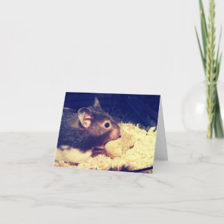 HungerHamster-Karte Karte