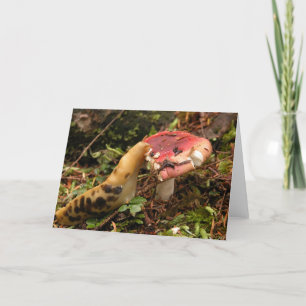 Hungrige Schnecke Karte