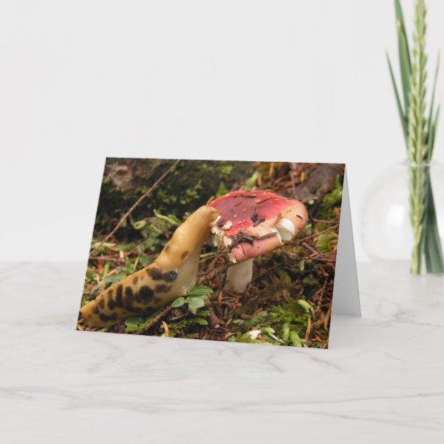 Hungrige Schnecke Karte (Vorderseite)