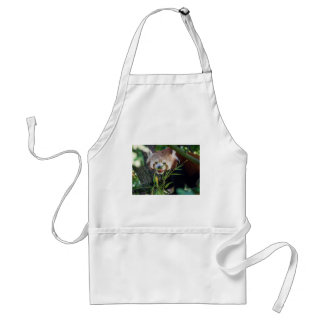hungriger roter Panda Schürze