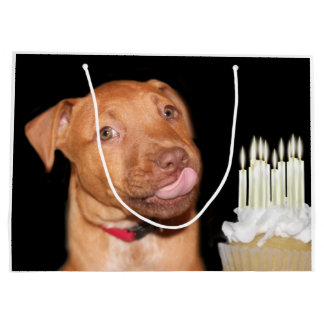 Hungriger Welpengeburtstag Große Geschenktüte