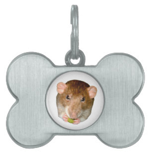 HungriRat Pet Tag Tiermarke