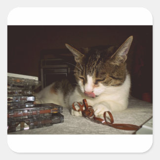 Hungry For Cassettes Quadratischer Aufkleber