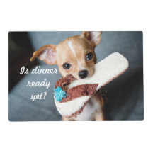 Hungry Pooch