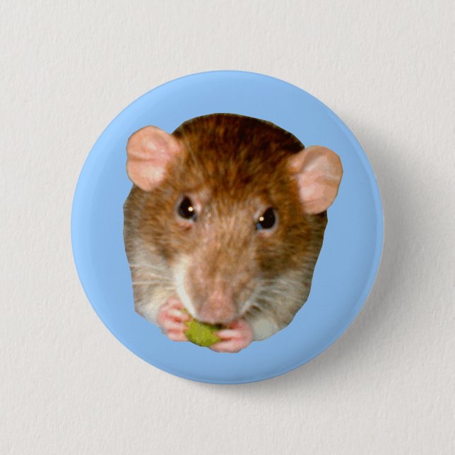 Hungry Rat Button (Vorderseite)