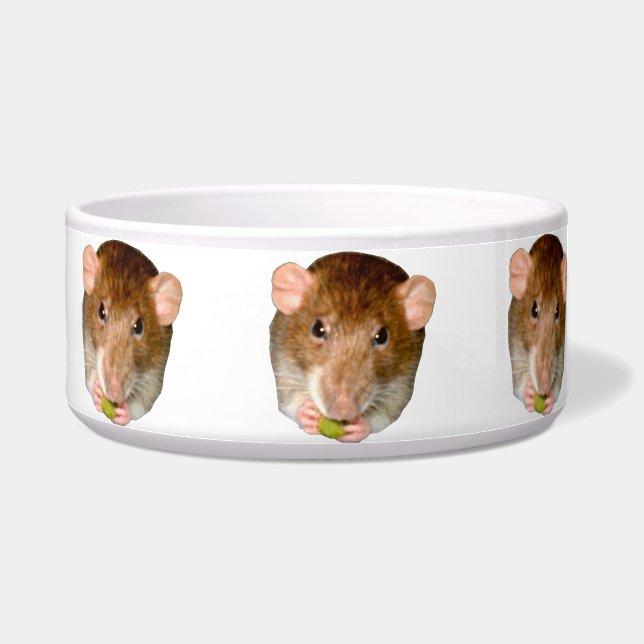 Hungry Rat Dog Bowl Napf (Links)