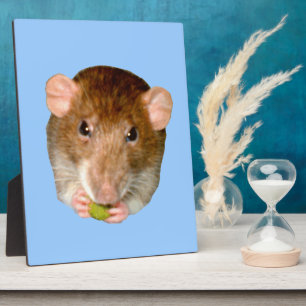 Hungry Rat Plaque Fotoplatte
