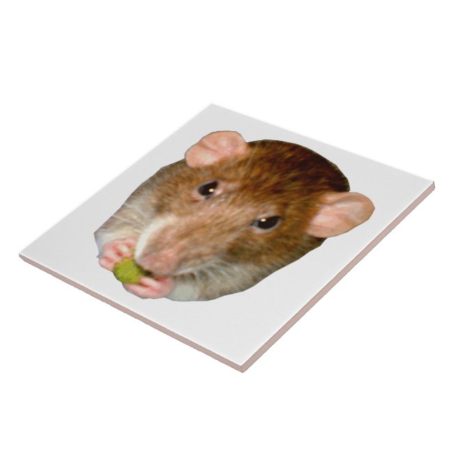 Hungry Rat Tile Fliese (Seite)