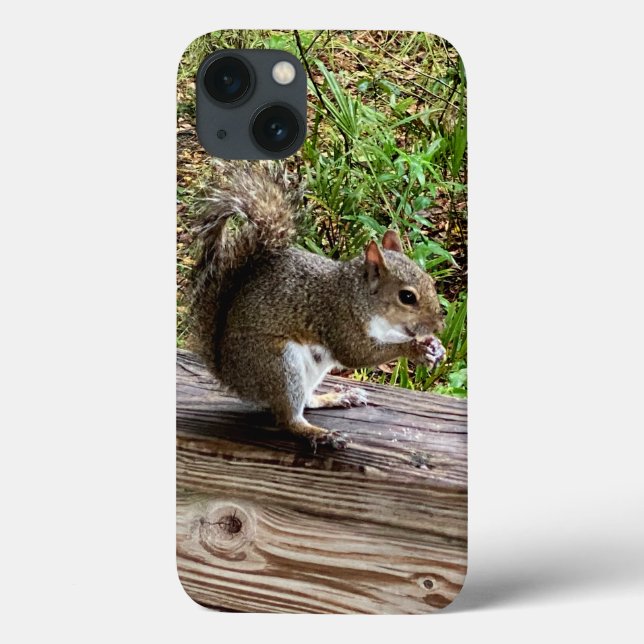 Hungry Squirrel iPhone Fälle Case-Mate iPhone Hülle (Rückseite)