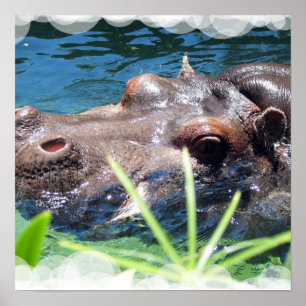 Hunguposter Hippo Poster