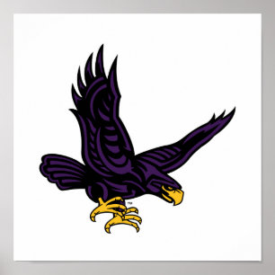 Hunter College Hawk Poster