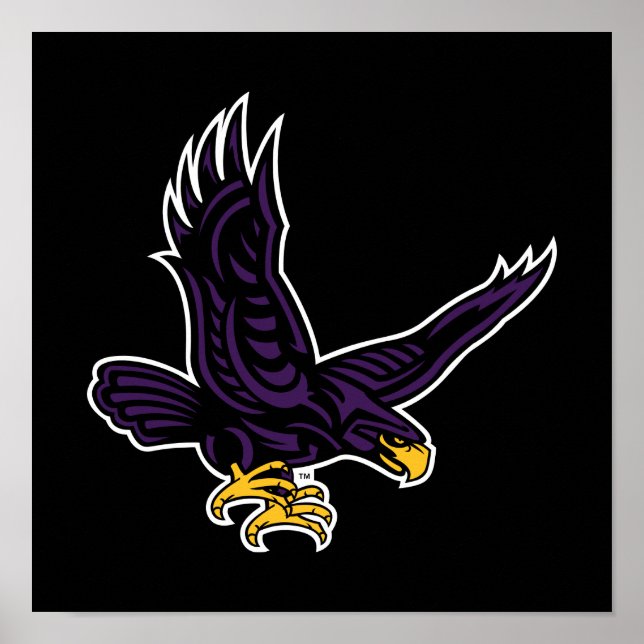 Hunter College Hawk Poster (Vorne)
