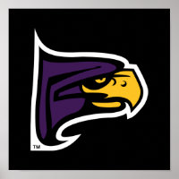 Hunter College Hawk Profil Maskottchen
