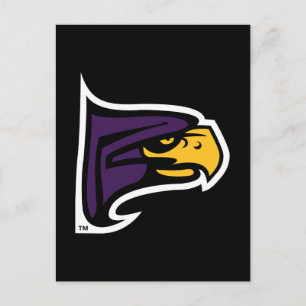 Hunter College Hawk Profil Maskottchen Postkarte
