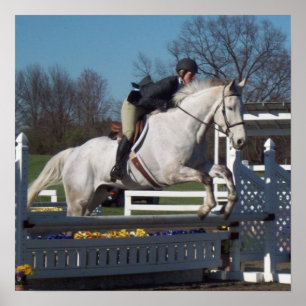Hunter Jumper Poster