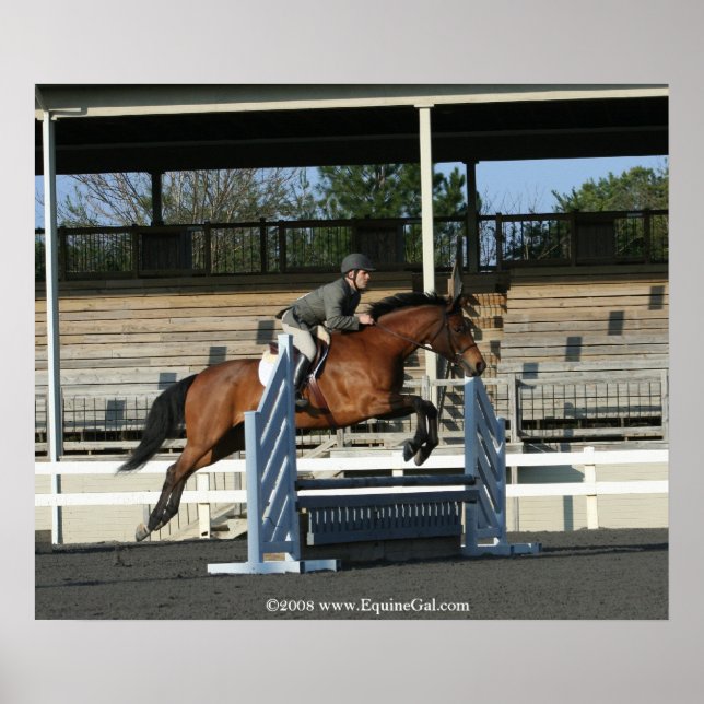 Hunter Jumper Poster 2 (Vorne)
