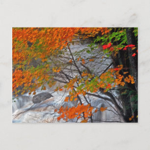 Hunter Mountain Stream Postkarte