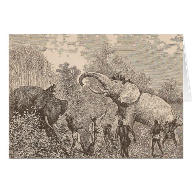 Hunting Elephants (Vorderseite (Horizontal))