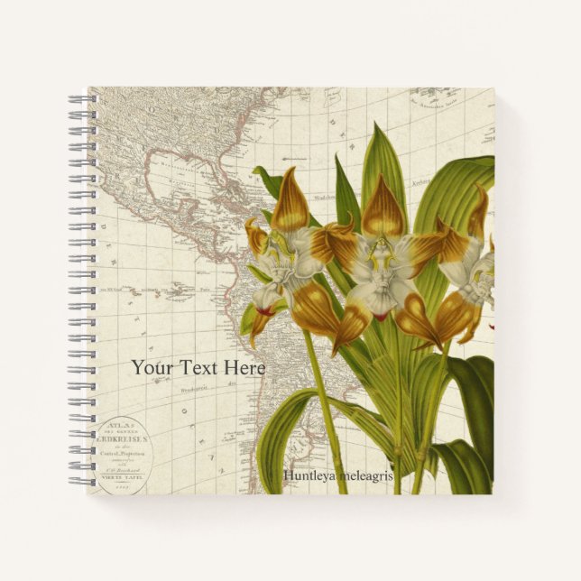 Huntleya Meleagris Orchid-Notebook Notizbuch (Vorderseite)