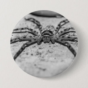 Huntsman Spider Button
