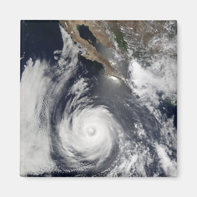 Hurricane Douglas Magnet (Vorne)