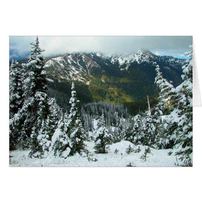Hurricane Ridge (Devant horizontal)