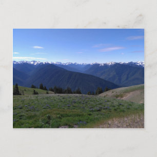 Hurricane Ridge - carte postale du Parc national O