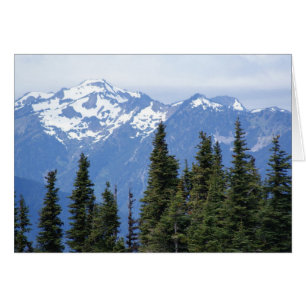 Hurrikan Ridge im Olympischen Nationalpark