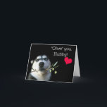 Husband Happy Birthday Niedlich Husky Dog Karte<br><div class="desc">Ein niedlicher Husky-Hund hat einen Olivenzweig und die Worte "Oliven Sie hubby"!  Ein glücklicher Geburtstag für deinen Mann auf niedliche Weise!</div>