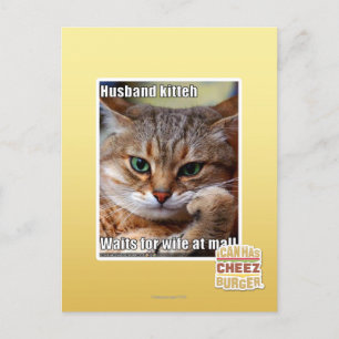 Husband Kitteh Postkarte