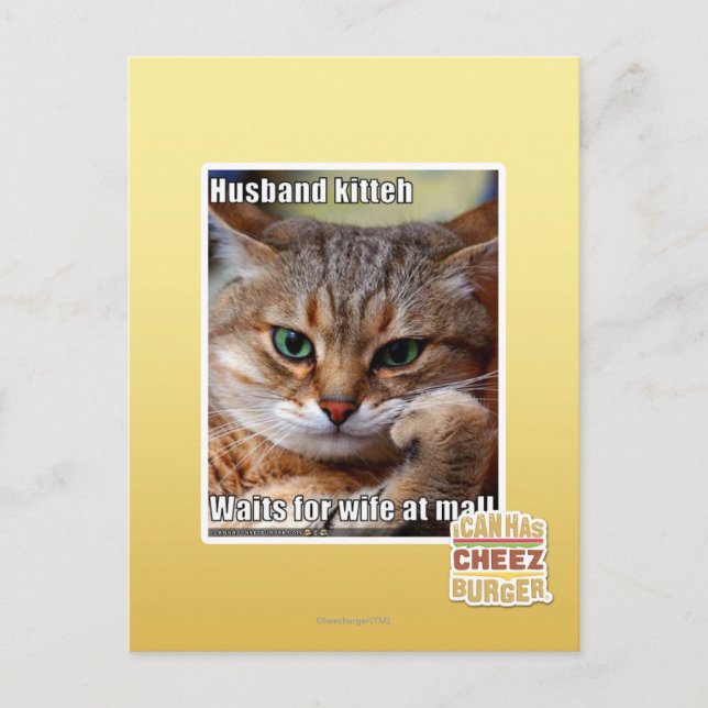 Husband Kitteh Postkarte (Vorderseite)