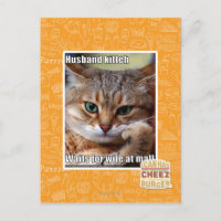 Husband Kitteh