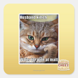 Husband Kitteh Quadratischer Aufkleber