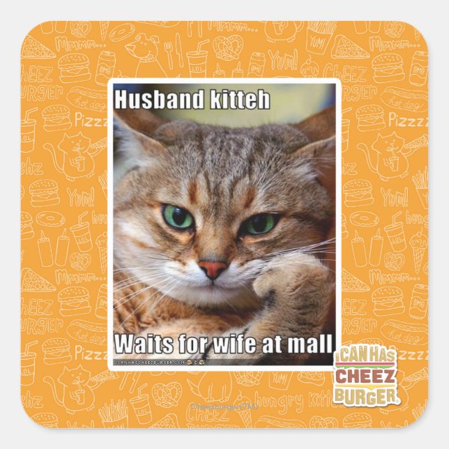 Husband Kitteh Quadratischer Aufkleber (Vorderseite)