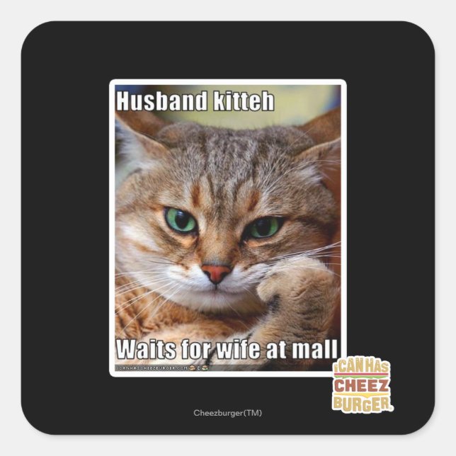Husband Kitteh Quadratischer Aufkleber (Vorderseite)
