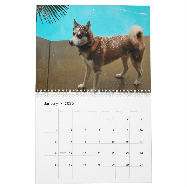 Huskies 2010 kalender (Jan 2026)
