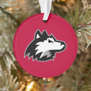 Huskies du nord de l'Illinois