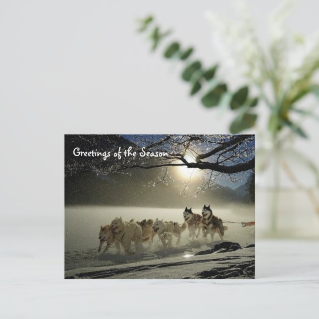 Huskies Husky Holiday Sled Chien de Noël Carte pos (Debout devant)