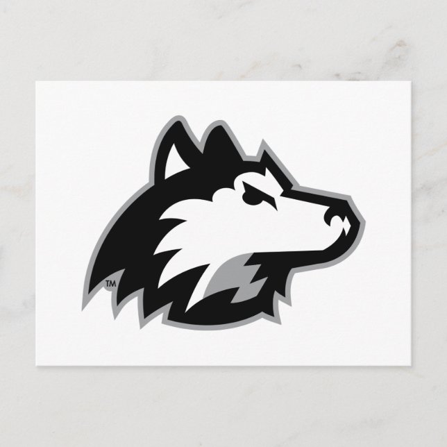 Huskies im Norden Illinois Einladungspostkarte (Vorderseite)