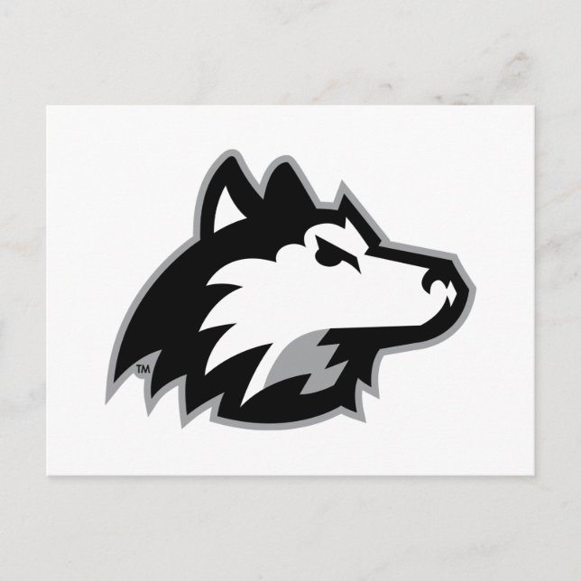 Huskies im Norden Illinois Postkarte (Vorderseite)