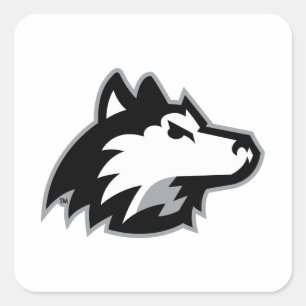 Huskies im Norden Illinois Quadratischer Aufkleber