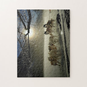 Huskies im Schnee